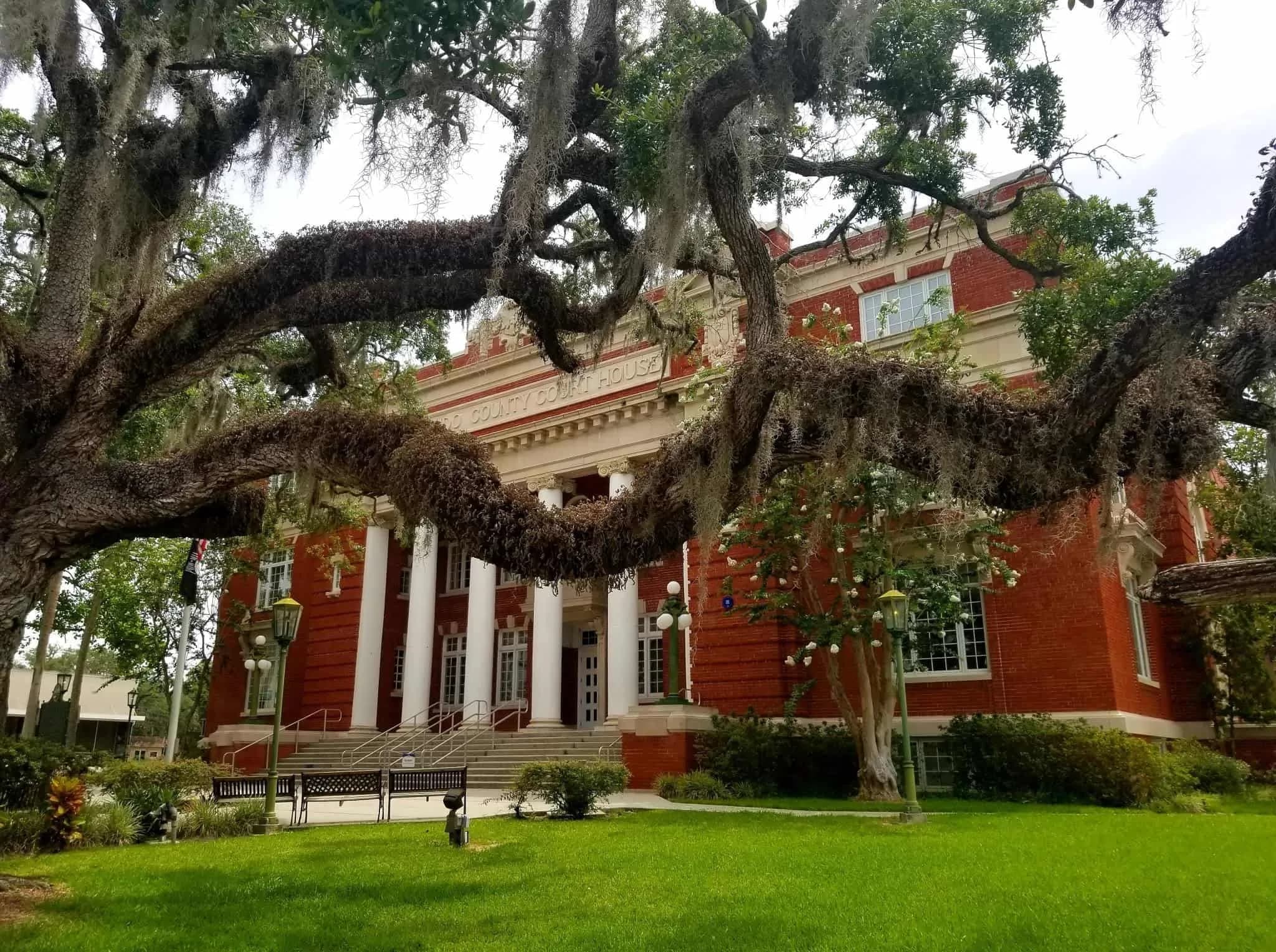 Brooksville stump grinding