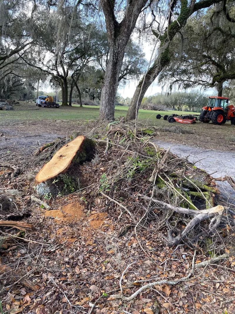 Clean yard after stump removal