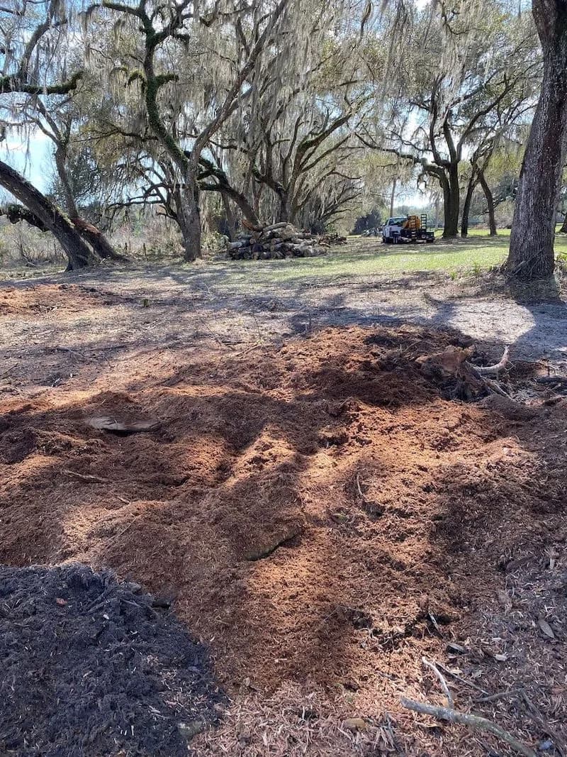 Stump grinder equipment in use