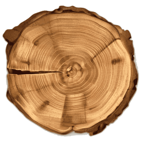 Stump slice